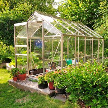 Växthus på bakgården - Ska du köpa eller bygga ditt eget?
