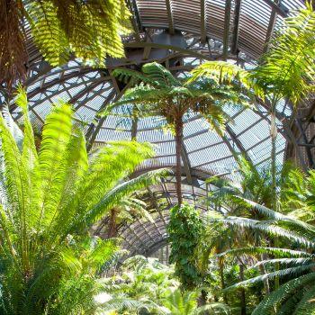 Kontrollera ditt växthusklimat, temperatur och luftfuktighet med en termometer och hygrometer som ansluter till din smartphone