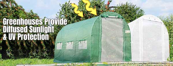 Växthus UV-skydd & Diffuserad belysning