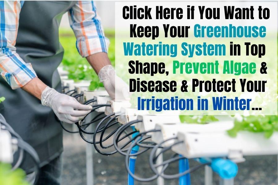 Underhåll av växthusbevattning