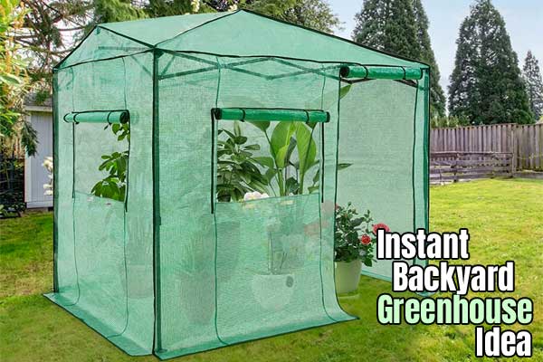 Idé för omedelbart bärbart pop-up-växthus för trädgården