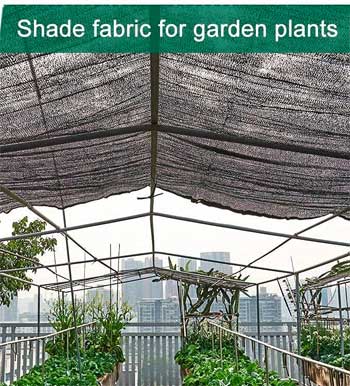 Skuggduk för att kyla växter i plantskolan